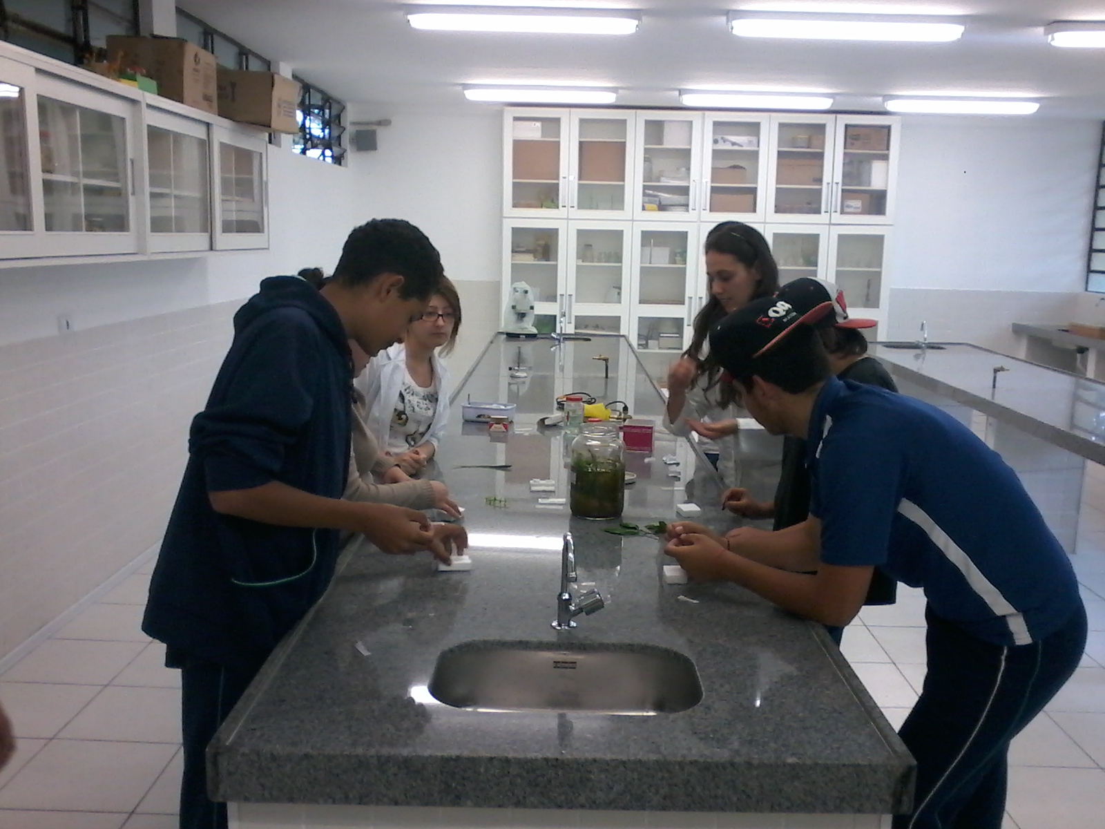 Preparo_de_l_mina_de_elodea__2_